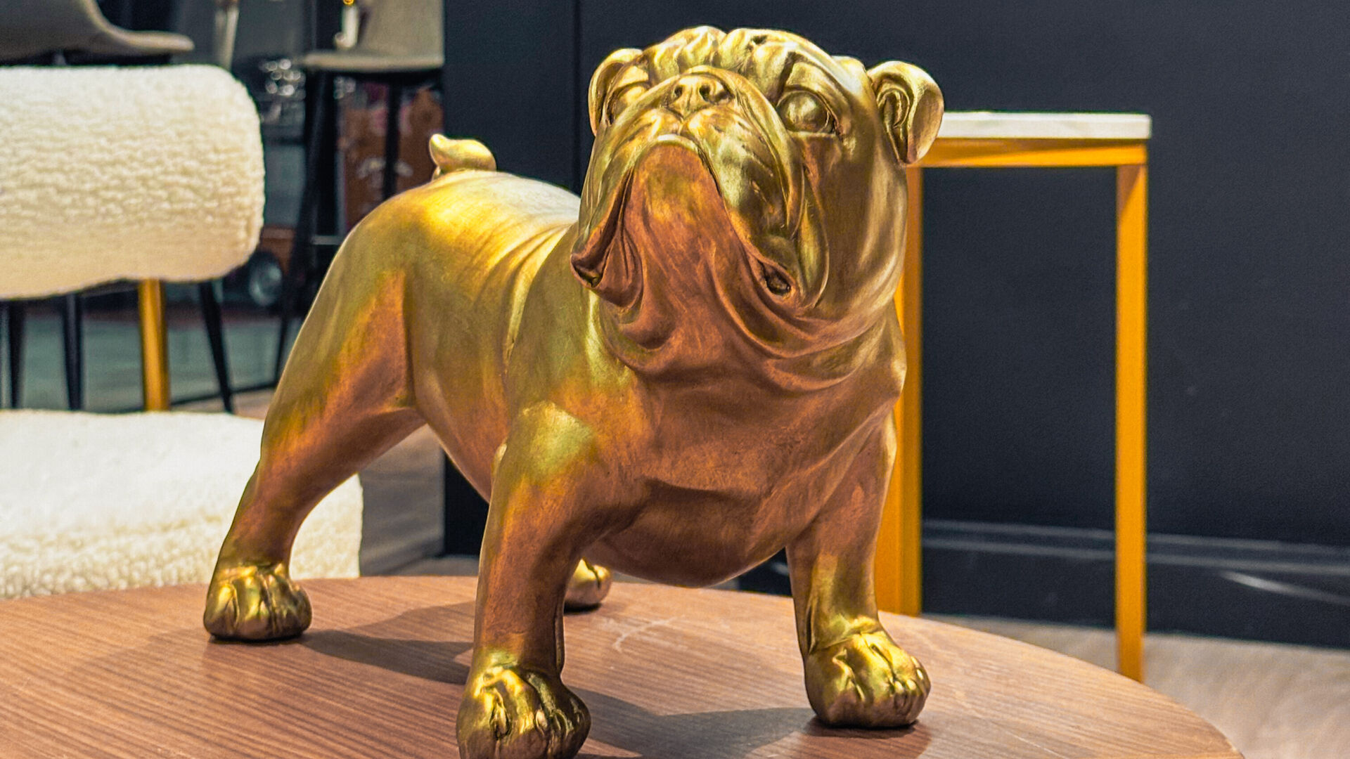 Show Room Event Wallonia Inside 03